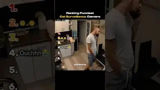 Ranking Funniest Cat Surveillance Camera #shorts