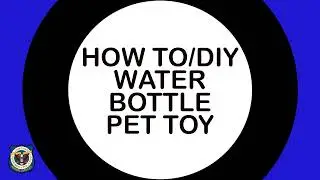 How to make a water bottle dog toy