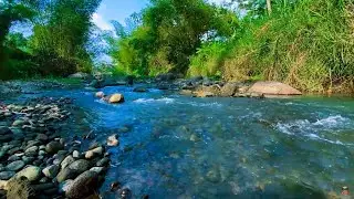 Gentle River Stream creating serene atmosphere perfect for Sleeping, sleep, relax, enjoy life, ASMR