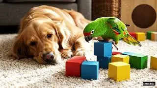 Funny Home Chaos Parrot and Retriever 😂🏡🐶