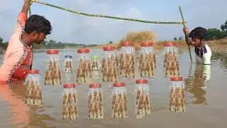 Shrimp or prawn catching technique with palstic bottles. 100% real fishing video .