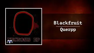 Querpp - Blackfruit