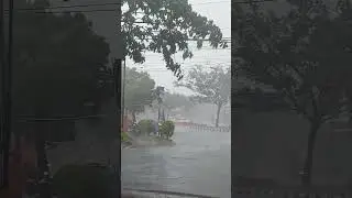 hujan pertama badai solo