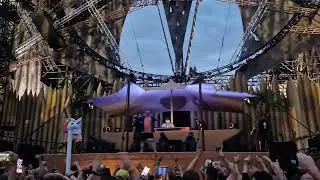 @officialpartyraiser Vs @DrPeacockOfficial at @dominatorfestival2023