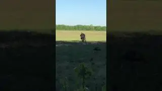 2017 Turkey Reaping