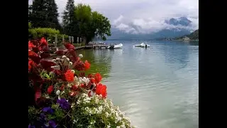 Setsuko Owan 大湾節子 Travel Photography &ndash;  Lake Annecy, Talloires, France &ndash;タロワール -  Swan by Saint-Sa&euml;ns