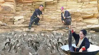 Full Video: Unexpected Encounter With Newborn Jackals and the Dwarf Family Fishing Journey