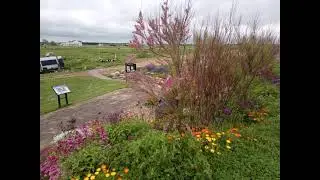 Is at Sandown castle