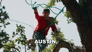 Tree Trimming Service | Brents Tree Service | Austin, Round Rock, Georgetown TX