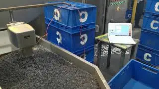 Detailed & Precise Moisture Measurement in Sunflower Seed Processing