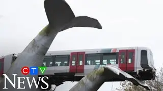 Saved by a whale's tail: Giant whale sculpture catches crashed Dutch metro train