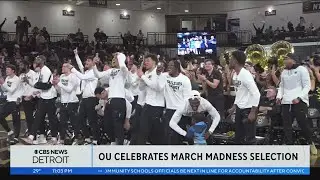 Oakland University Golden Grizzlies celebrate March Madness selection