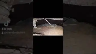 1952 Chevy 1 ton video