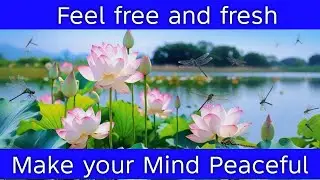 002 Soothing Relaxation, Whispers of Nature, Sounds for Sleep, Meditation, Spa, Yoga and meditation