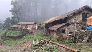 Nepali Mountain Village life Rainy Season|RealNepalVillage