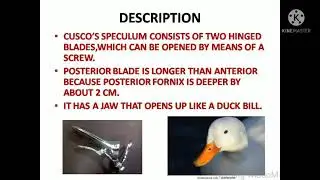 CUSCO'S SPECULUM,DESCRIPTION ,PARTS ,USES,ADVANTAGE AND DISADVANTAGES OF CUSCOS SPECULUM.
