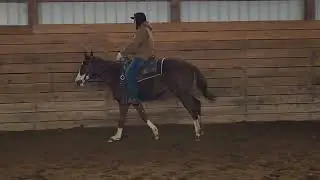 Wicked Offshore - Offered for Sale 