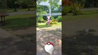 Shiny Celebi in #pokemongo looks so good 🩷 #pokemon #shiny #shinypokemon #shinycelebi