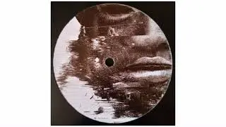 Shanti D - Can't Understand / Lion's Claw - 12