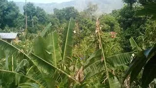 W.P Wesley Production(1)