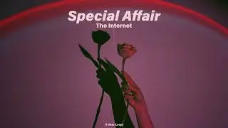 [1 Hour Loop/한시간] Special Affair - The Internet 1시간 듣기