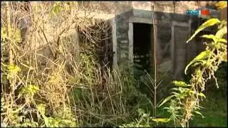 Animal Hoarding in Kaserne bei Vitzeroda beendet