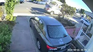 person flannel guy bag garage