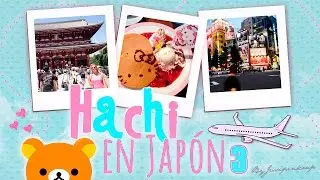 Día 3: Curiosidades de Japón, yukatas y Maids ♥ #hachienjapon