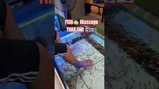 Fish Foot Massage. #fishmassage#thailand