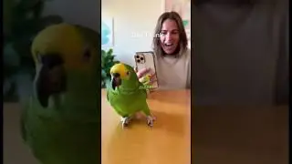 Three Moves Master