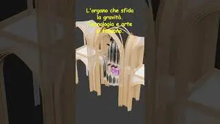 L'organo 