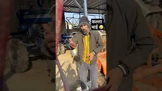 बॉलीवुड के राजकुमार का झगड़ा हो गया😂 #comedy #funny #viral #ytshorts #shorts #trending #fun #memes