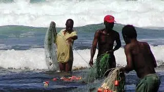Environmental Impact of Sea Level Rise