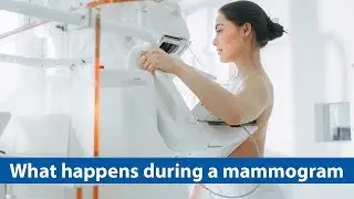 What happens during a mammogram