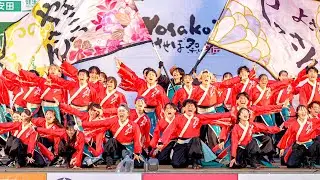 [4K] 山口大学よさこいやっさん!!【ファイナル演舞】　YOSAKOIさせぼ祭り 2025 日曜日 ファイナル 名切お祭り広場会場 (中央)
