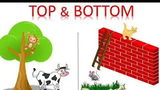 Concept of top and bottom/for kindergarten children/Kids special learning