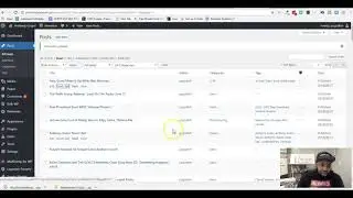 How to Bulk Edit Author in Wordpress for posts