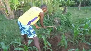Jomiriambo oromo gi papa the serious guy