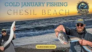 Cold January Fishing on Chesil Beach #saltwaterangling
