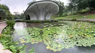 #Singapore Botanic Gardens | Palm Valley and Symphony Lake | garden walking tour.