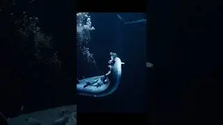 Frilled Shark | Older than dinosaurs #shortsfeed #asmr #DeepOcean #DeepSeaMystery#wildlife#ocean