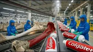 Inside the Toothpaste Factory - From Animal Bones to Toothpaste | Full Process