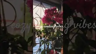 A Cup of Calm | Cozy Evening Vibes | silent aesthetic vlogs #shorts