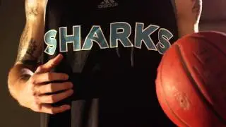 HPU Sharks - The Meaning Behind the Mascot