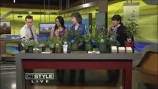 What You Should Plant to Help the Local Eco-System