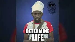 Determine - Life (Official Audio) [Top Secret Music]