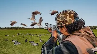 NEW YORK HAY FIELD HONKERS!! (MIDDLE OF THE FIELD)