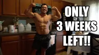 THE KETO CUT | EP. 27 | Honest Physique Update