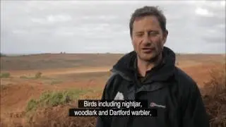 Ground nesting birds