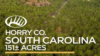 Horry County, SC 151&plusmn; Acres